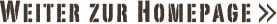 weiter zur Homepage
